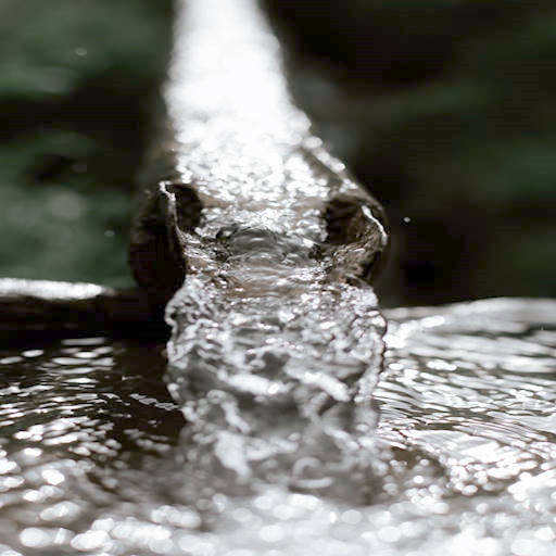 Gutter cleaning